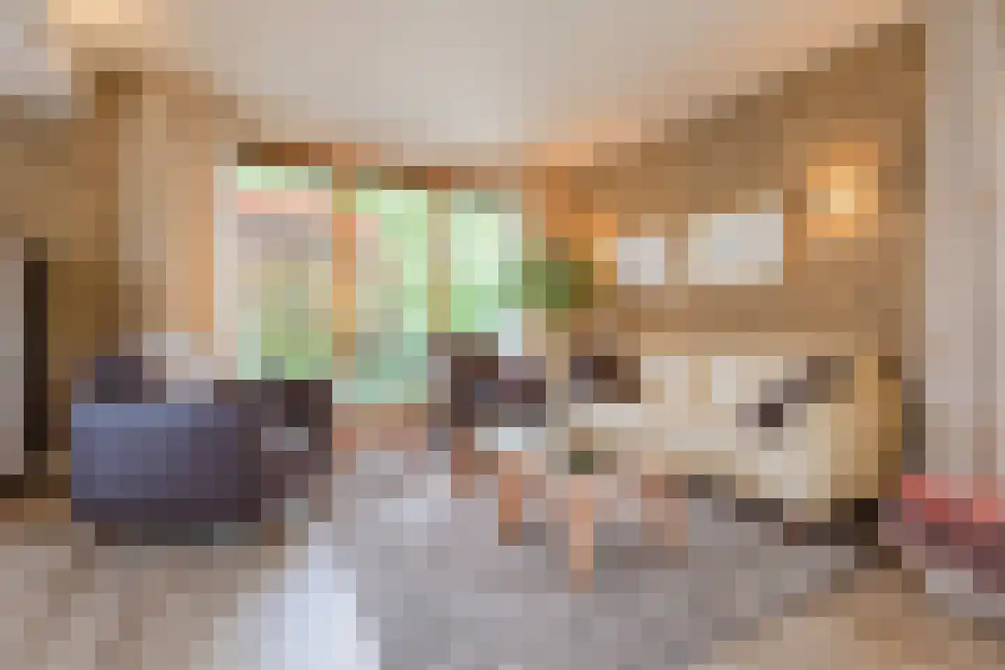 Esstraat 59 Lichtenvoorde thumbnail 17
