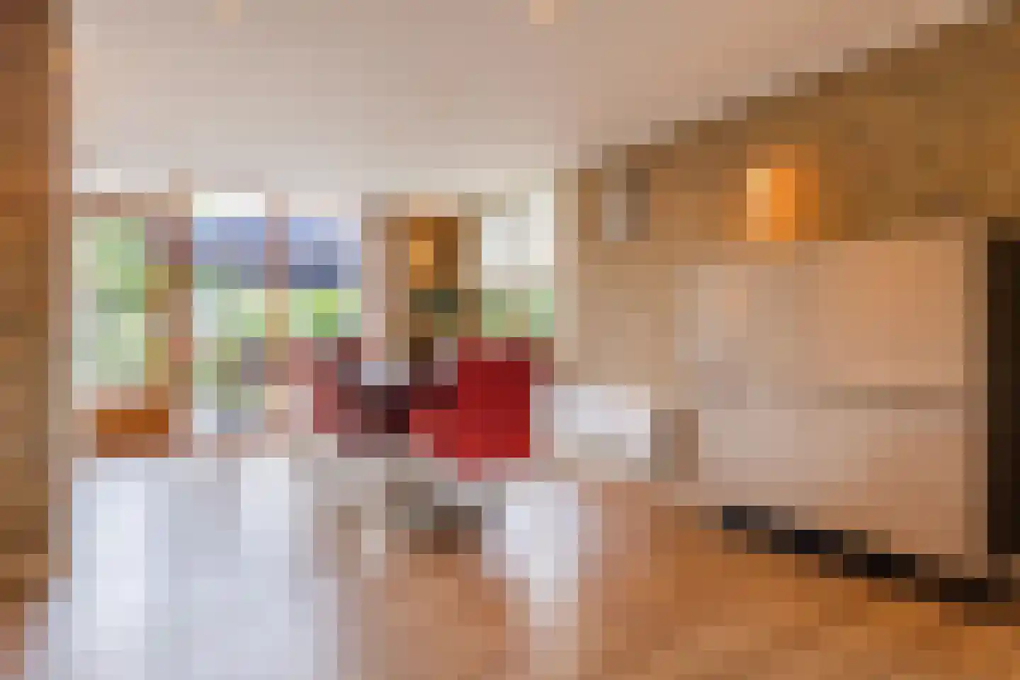 Esstraat 59 Lichtenvoorde thumbnail 22