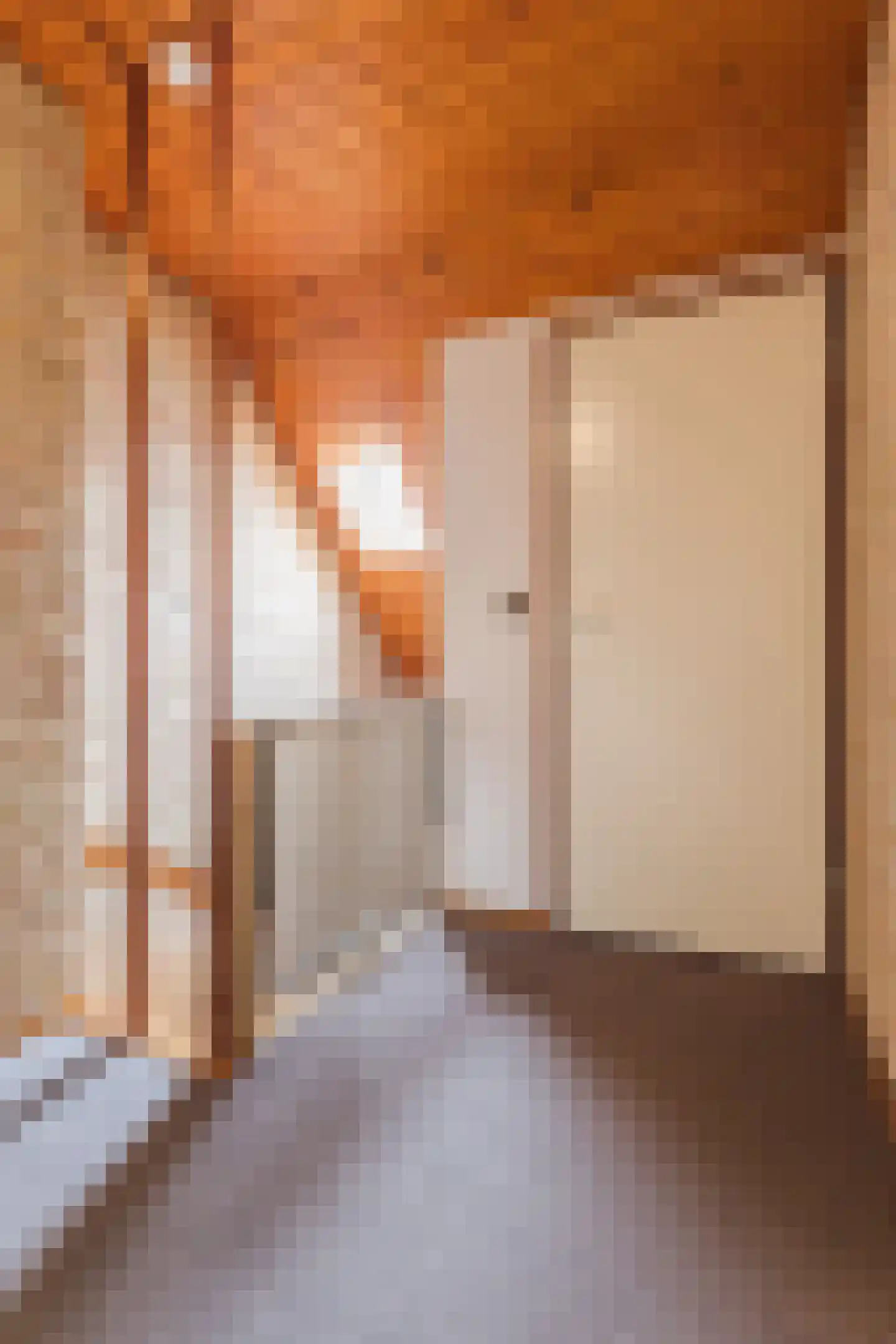 Esstraat 59 Lichtenvoorde thumbnail 78