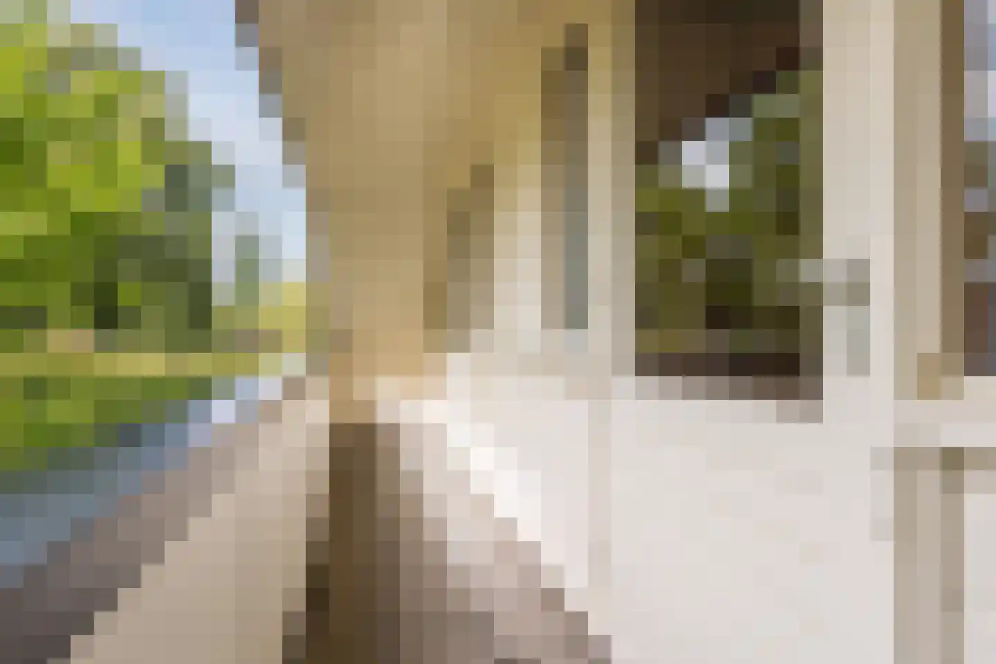 Esstraat 59 Lichtenvoorde thumbnail 83