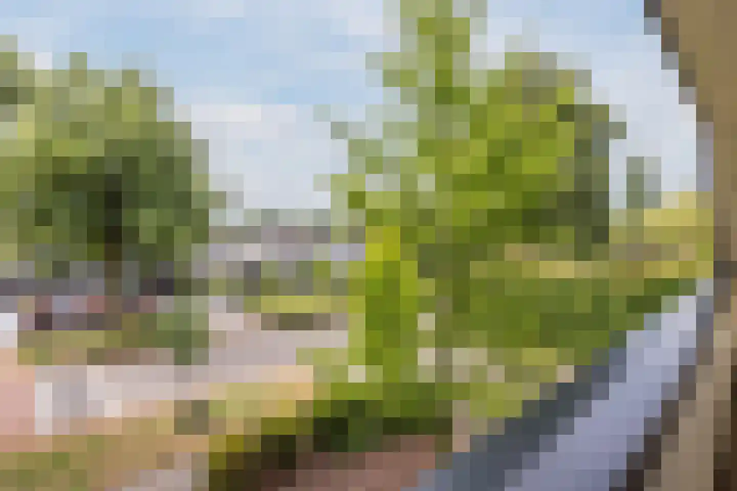 Esstraat 59 Lichtenvoorde thumbnail 84