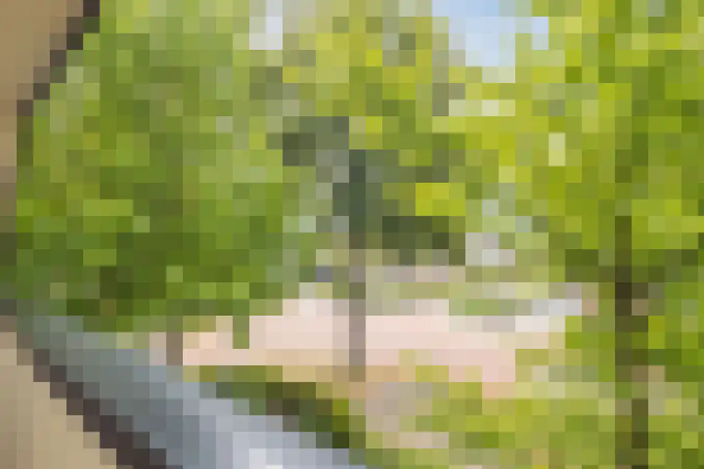 Esstraat 59 Lichtenvoorde thumbnail 85