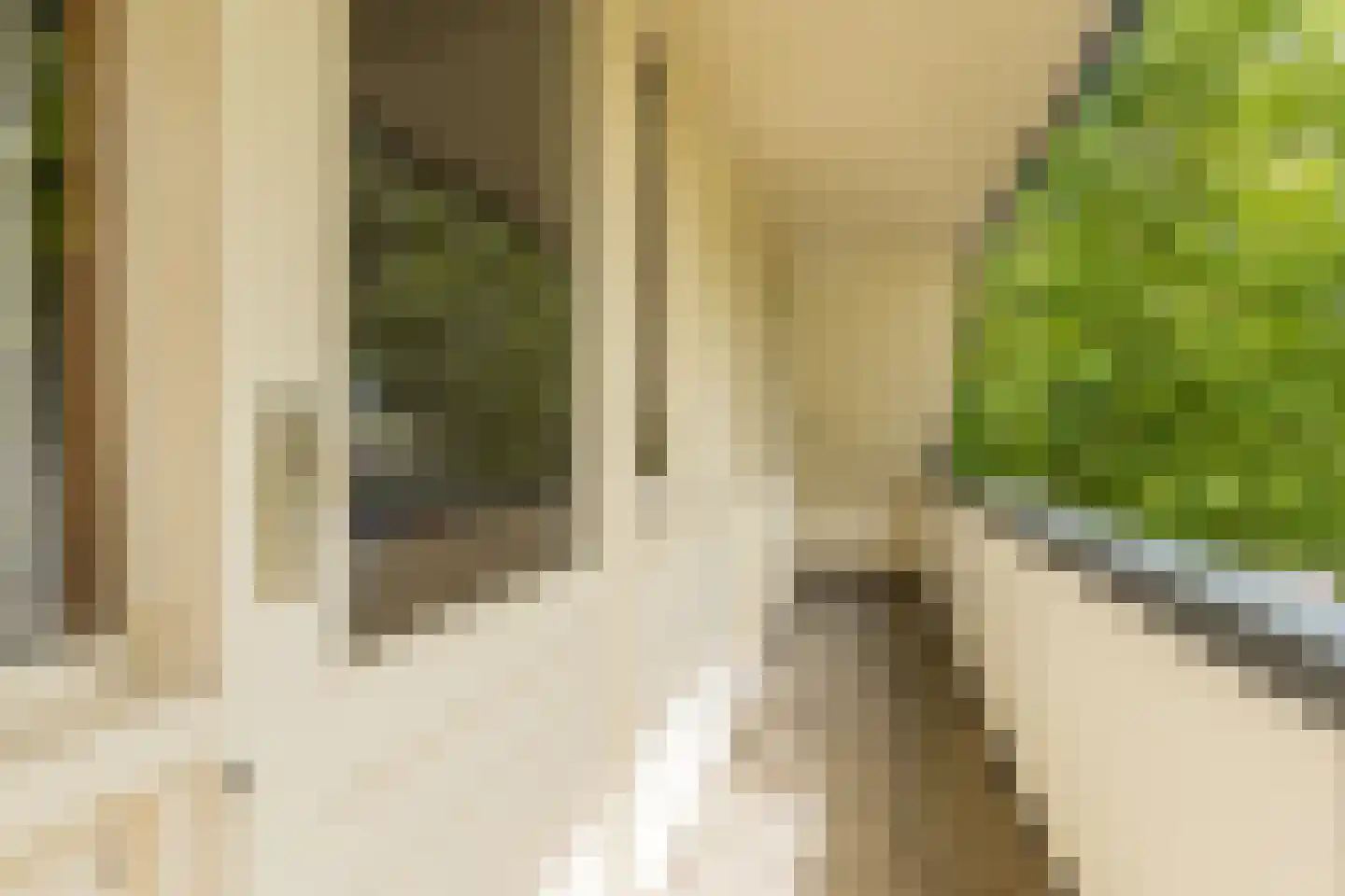 Esstraat 59 Lichtenvoorde thumbnail 86