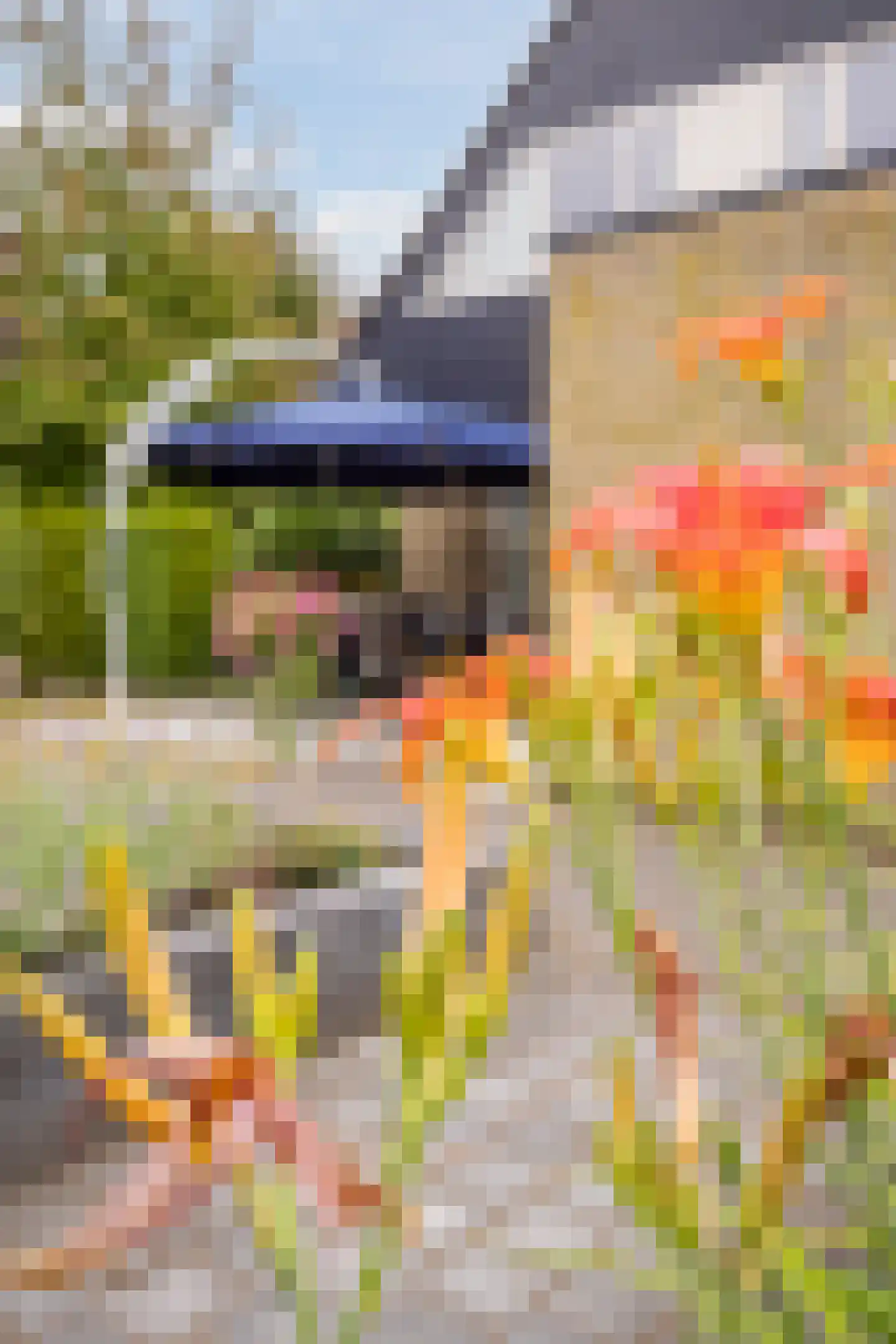 Esstraat 59 Lichtenvoorde thumbnail 96