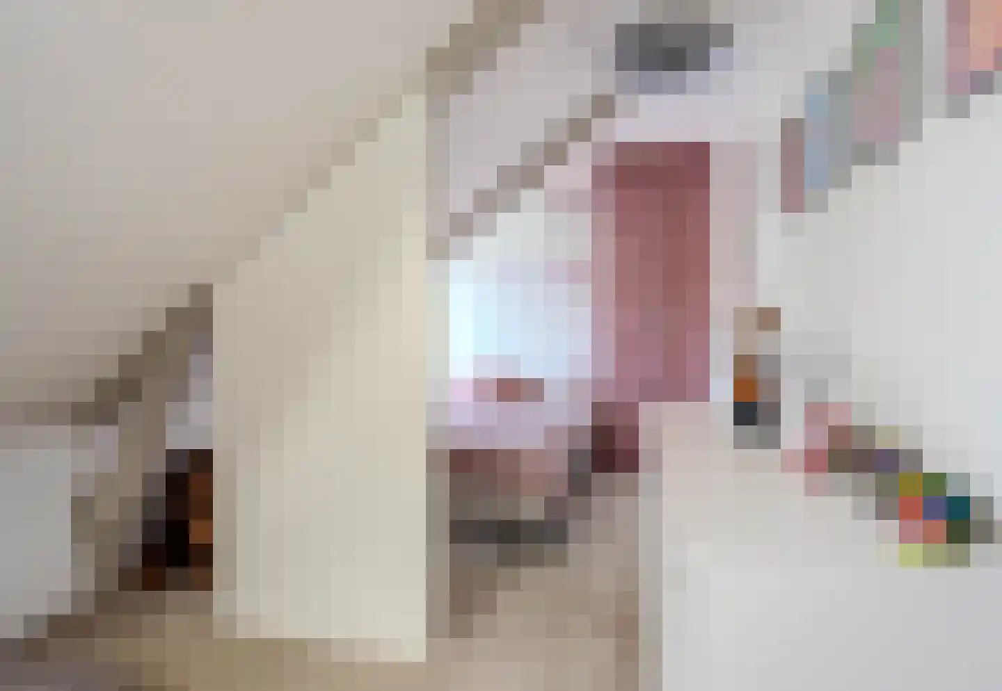 Esstraat 60 Assen thumbnail 31