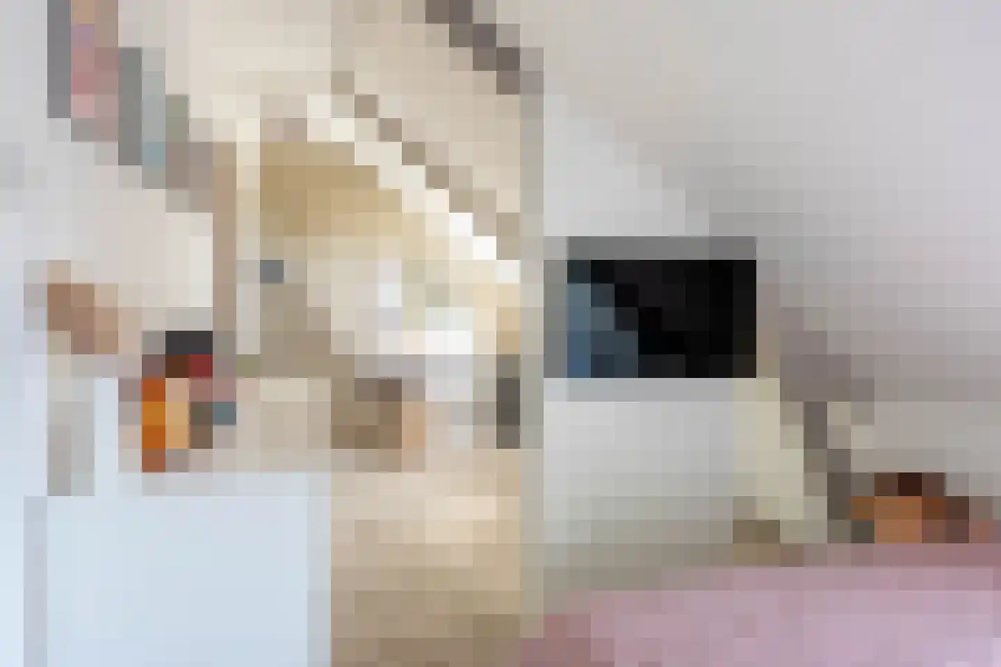 Esstraat 60 Assen thumbnail 32