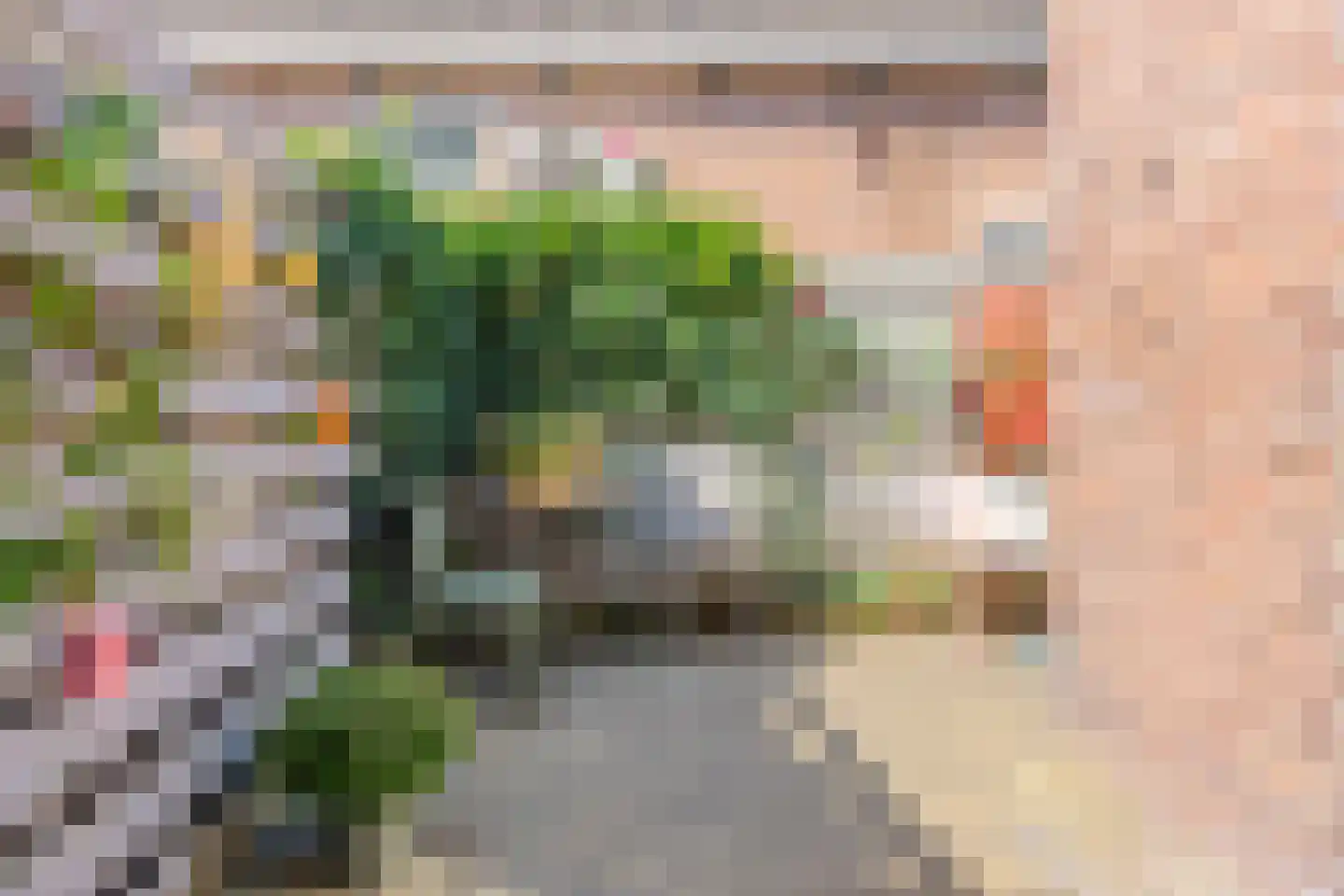 Esstraat 60 Assen thumbnail 33