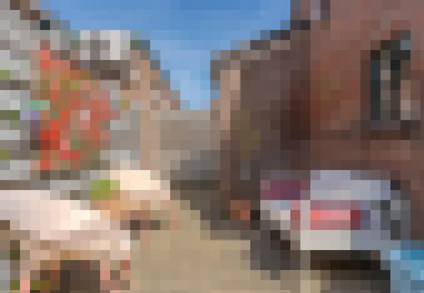 Esstraat 60 Assen thumbnail 34