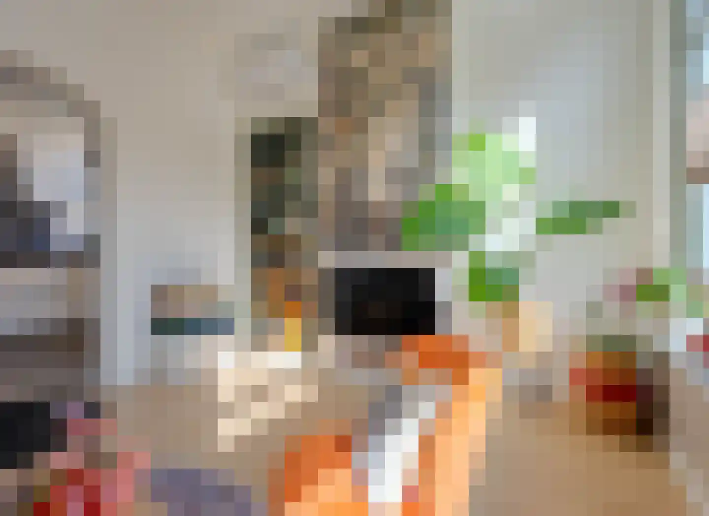 Esstraat 60 Assen thumbnail 6