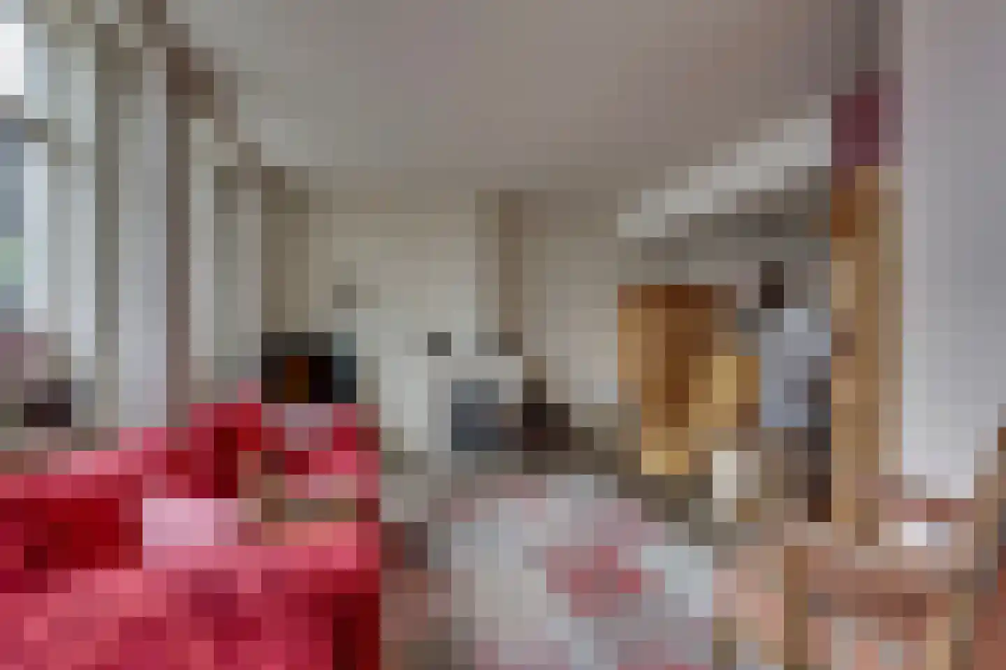Esstraat 70 Rijssen thumbnail 13