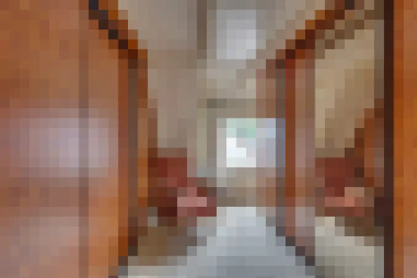 Esstraat 70 Rijssen thumbnail 26