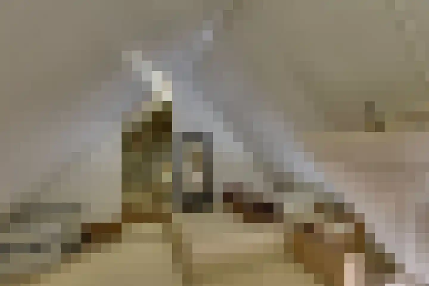 Esstraat 70 Rijssen thumbnail 30