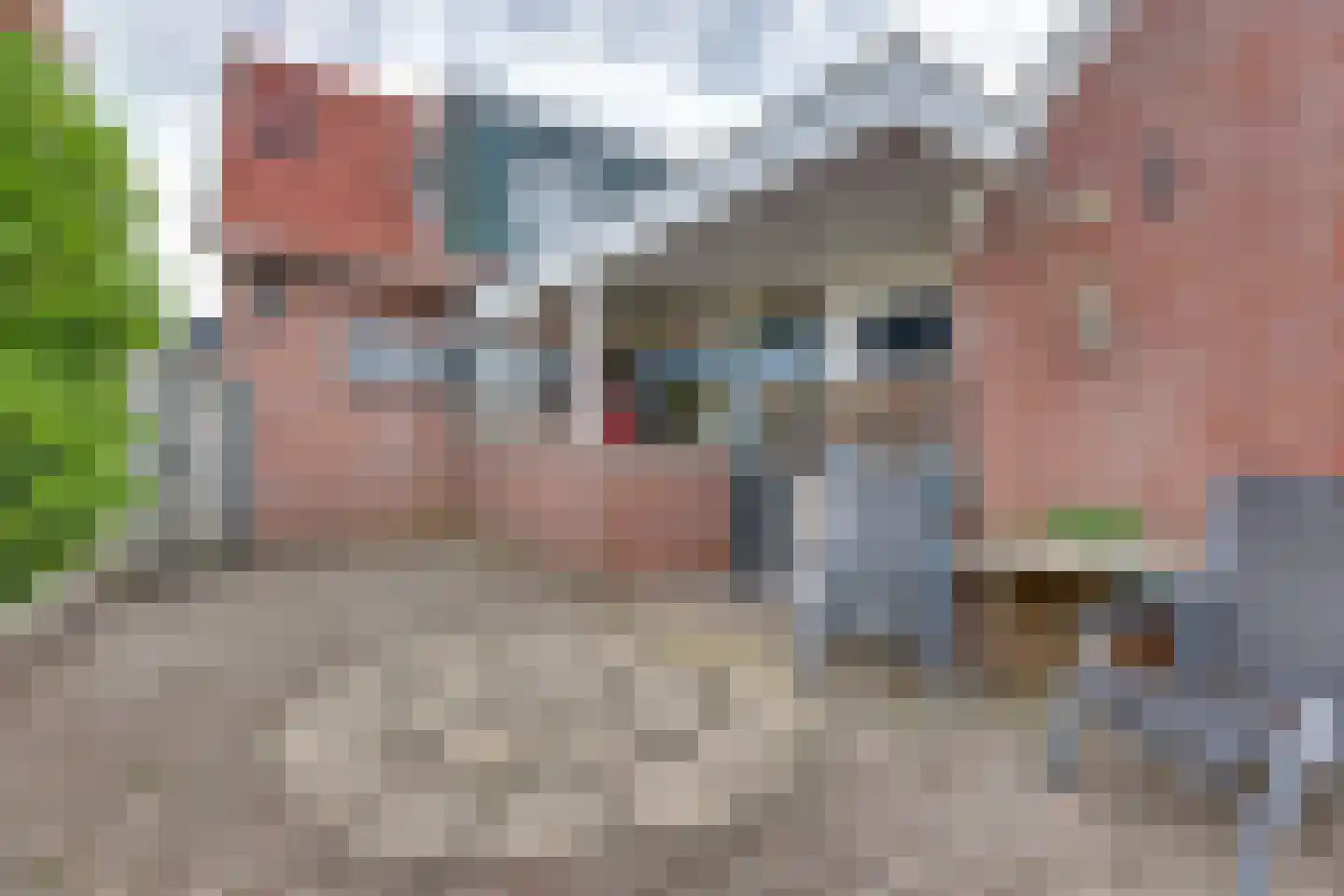 Esstraat 70 Rijssen thumbnail 38