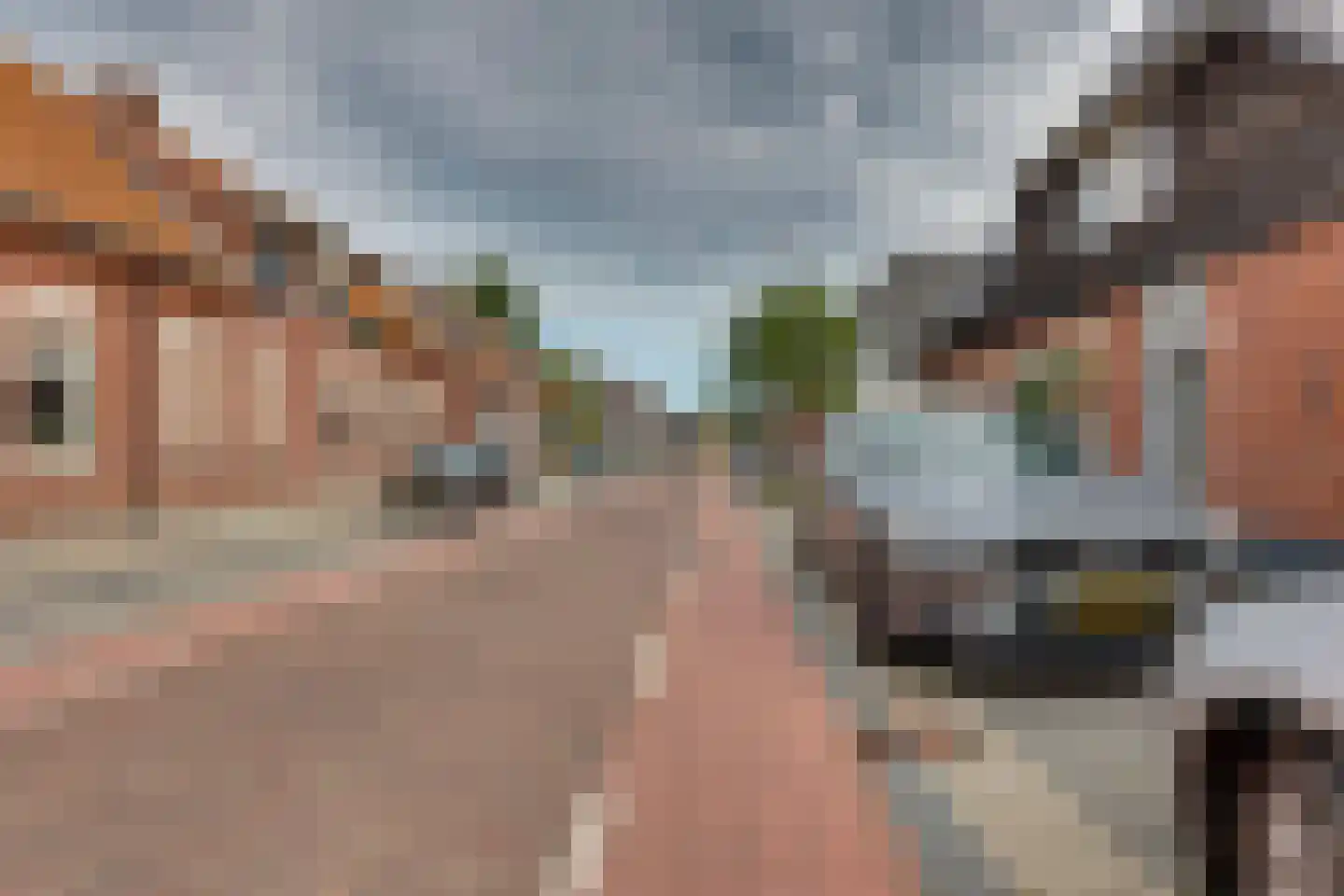 Esstraat 70 Rijssen thumbnail 39