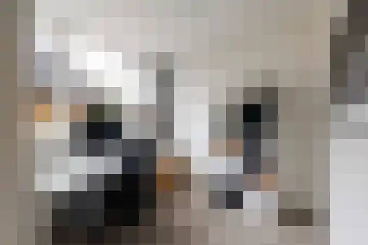 Esstraat 77 Rijssen thumbnail 26