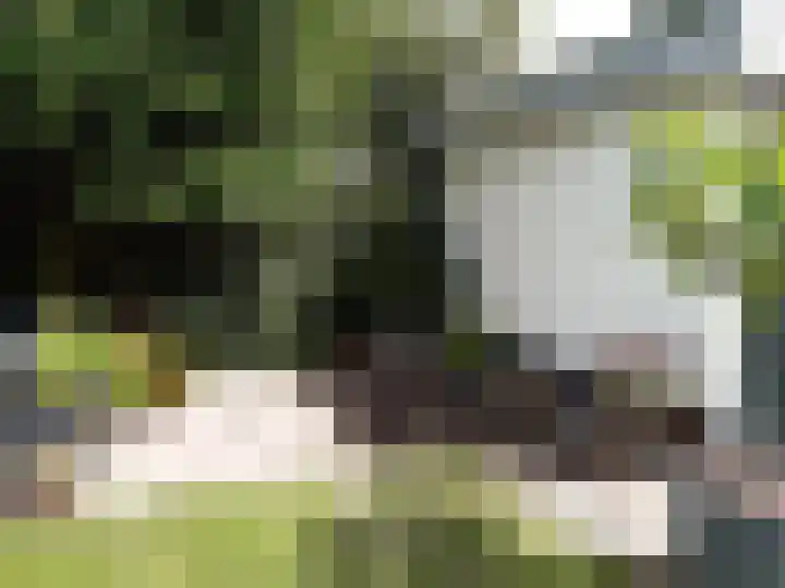 Esstraat 77 Rijssen thumbnail 32