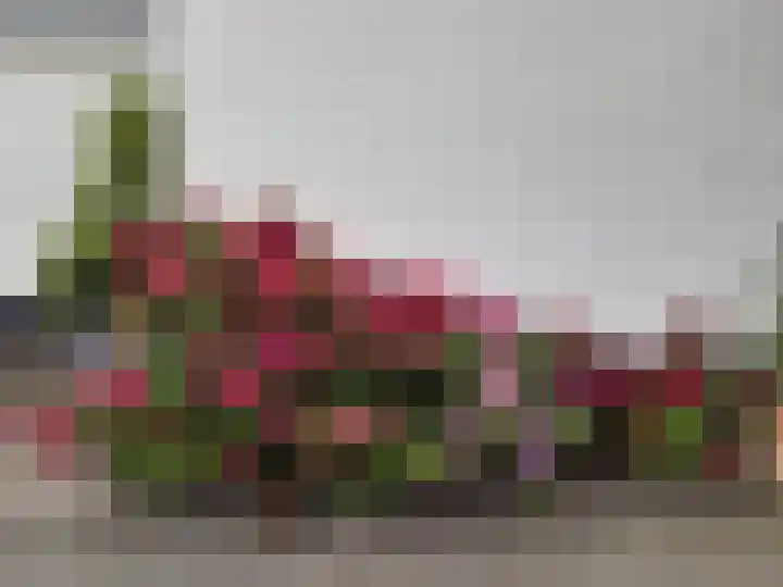 Esstraat 77 Rijssen thumbnail 33