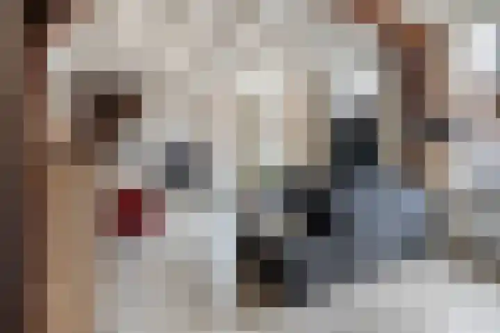 Esstraat 77 Rijssen thumbnail 5