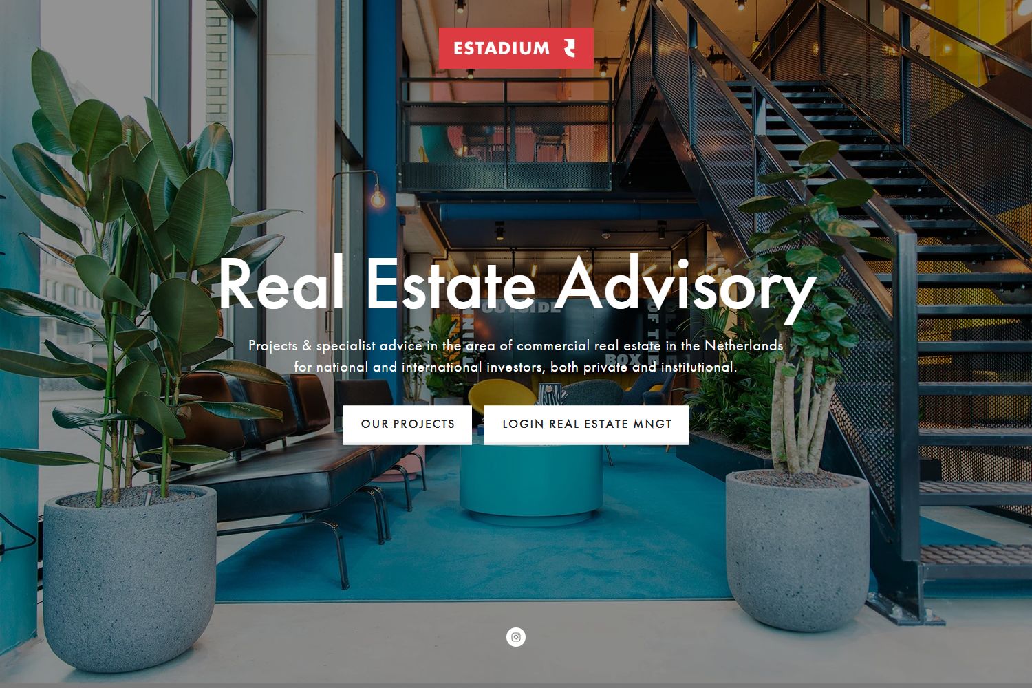 Team photo of Estadium Real Estate Advisory