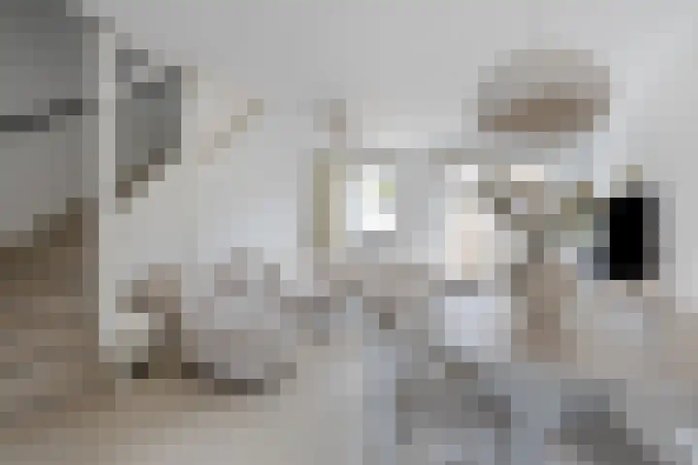 Estafette 10 Assendelft thumbnail 8