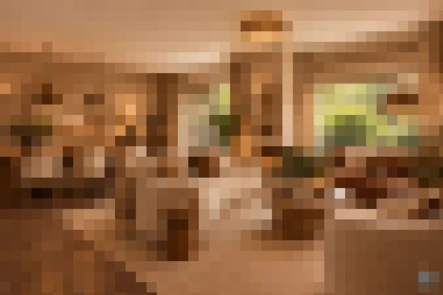 Estafette 18 Krimpen aan den IJssel thumbnail 11