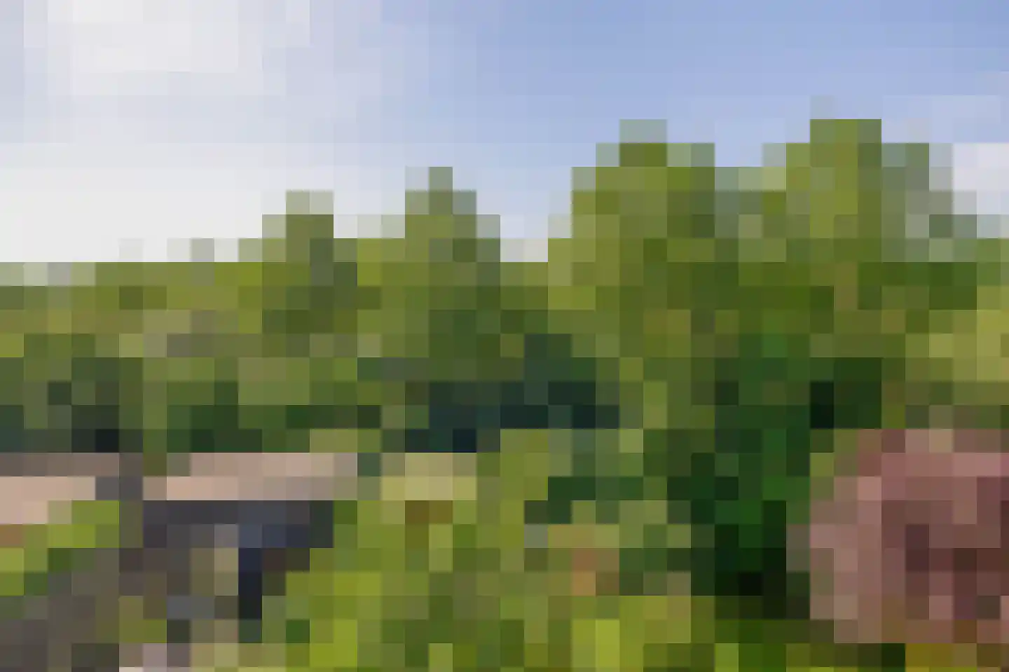 Estafette 18 Krimpen aan den IJssel thumbnail 29