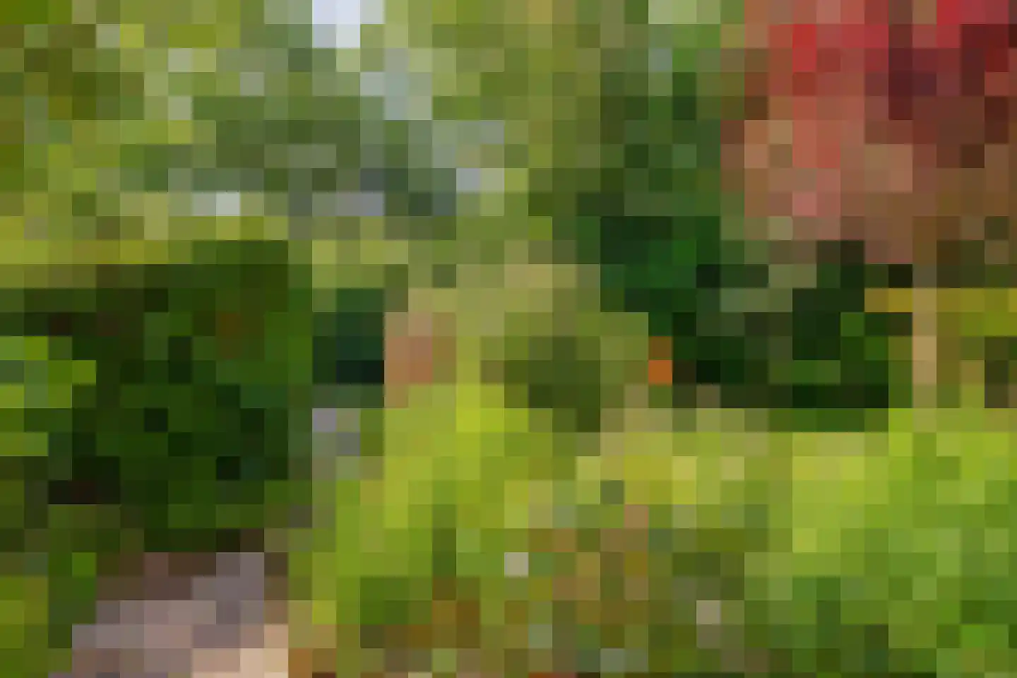 Estafette 18 Krimpen aan den IJssel thumbnail 33