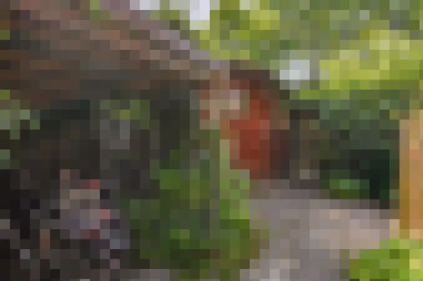 Estafette 18 Krimpen aan den IJssel thumbnail 34