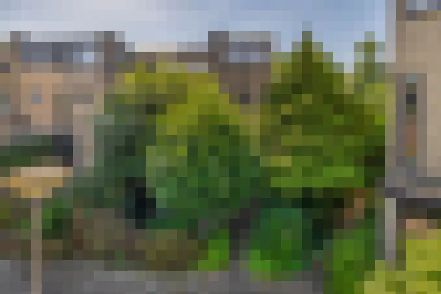 Estafette 18 Krimpen aan den IJssel thumbnail 40