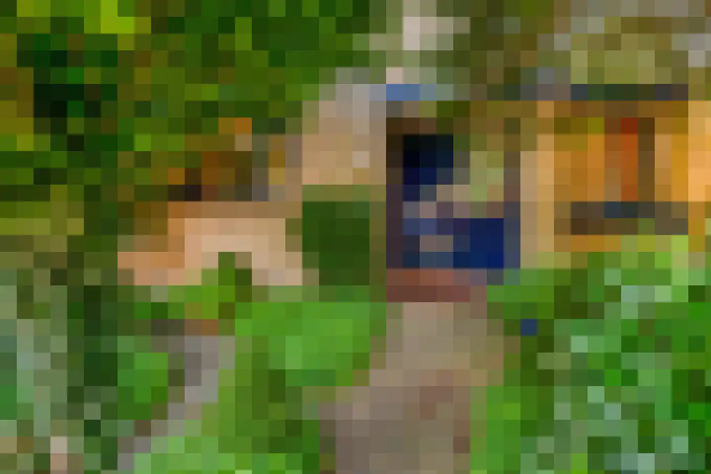Estafette 18 Krimpen aan den IJssel thumbnail 5