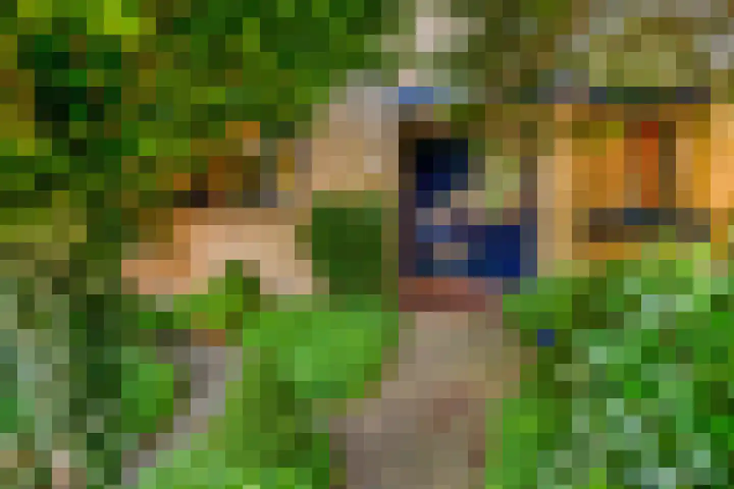 Estafette 18 Krimpen aan den IJssel thumbnail 5