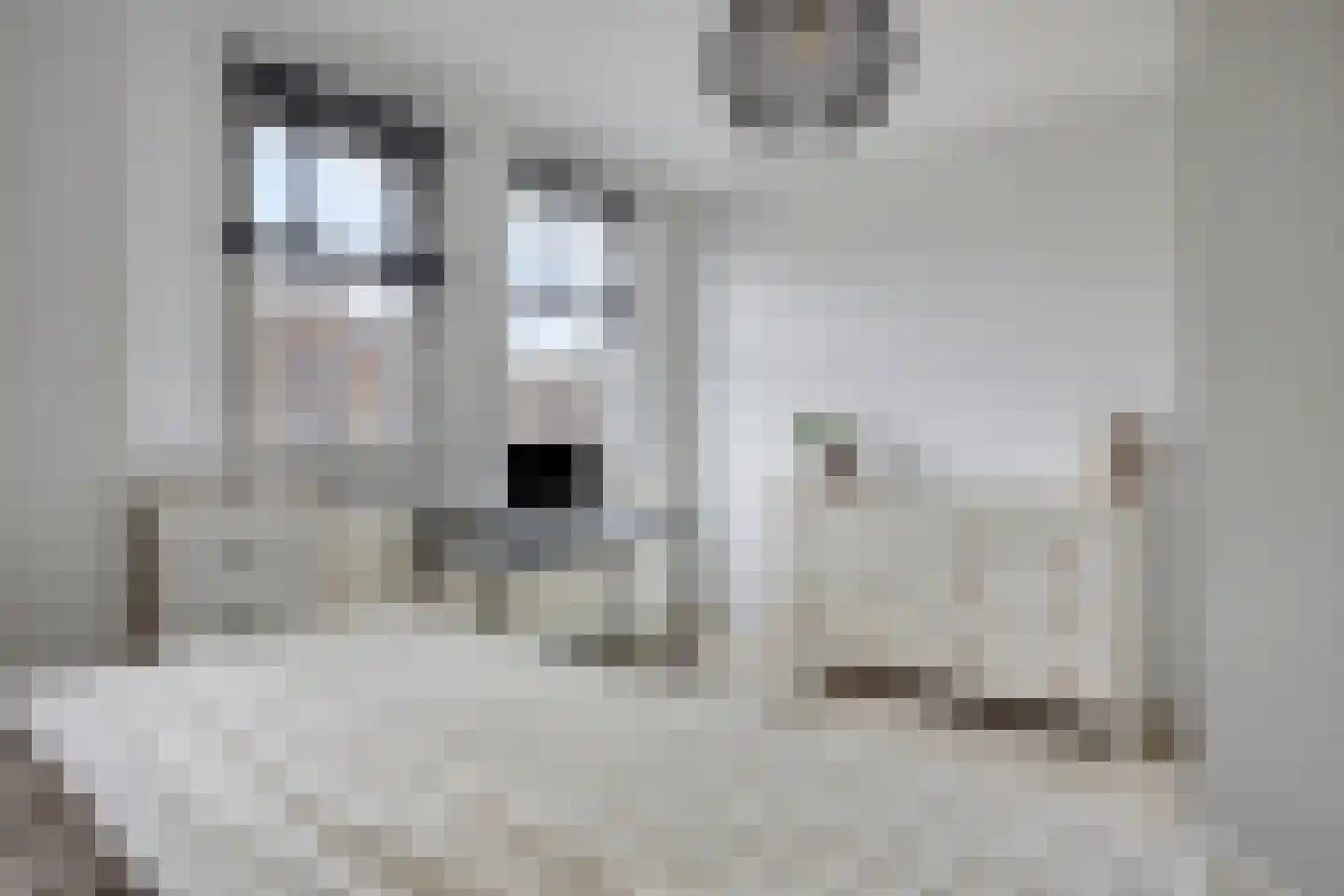 Estafette 28 Assendelft thumbnail 13