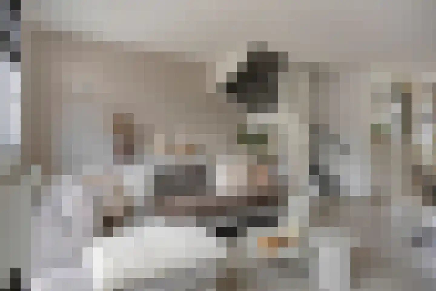 Estafette 28 Assendelft thumbnail 9