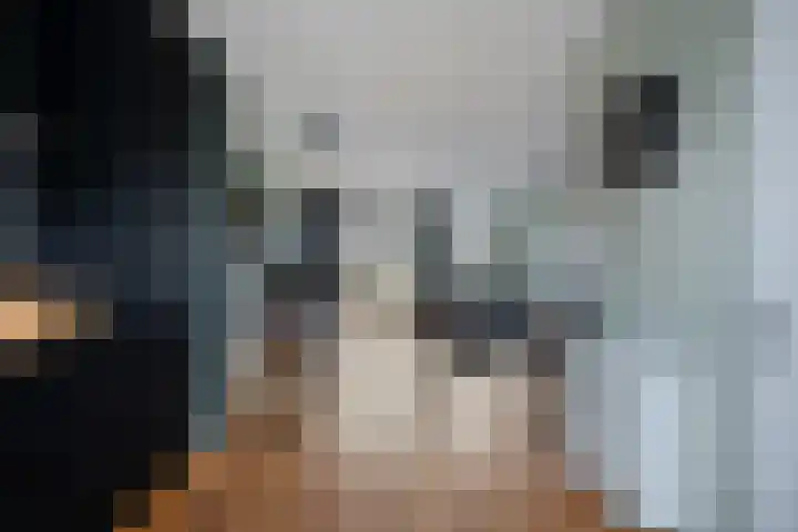 Estafette 30 Assendelft thumbnail 13