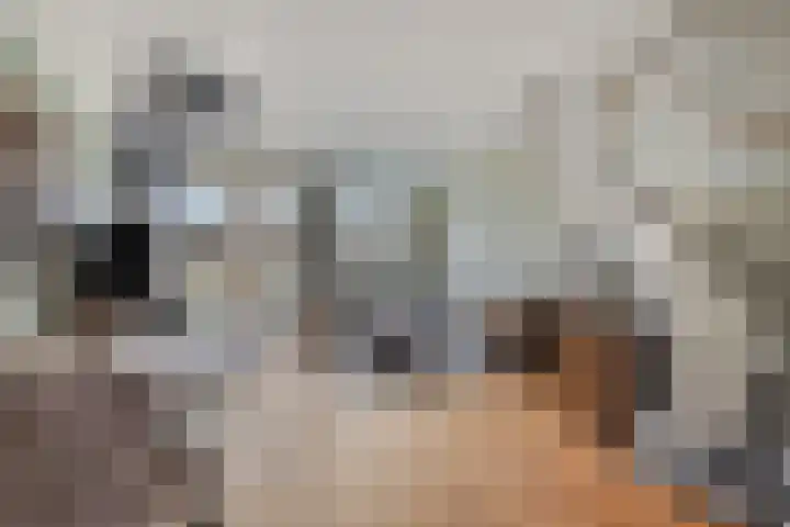 Estafette 30 Assendelft thumbnail 4