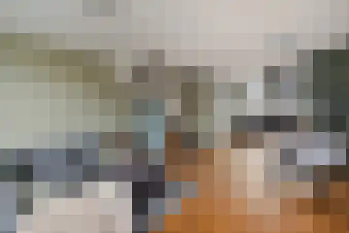 Estafette 30 Assendelft thumbnail 8