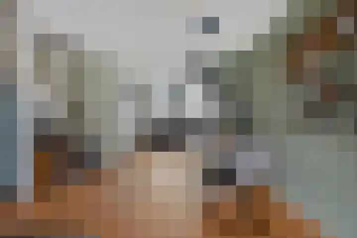 Estafette 30 Assendelft thumbnail 9