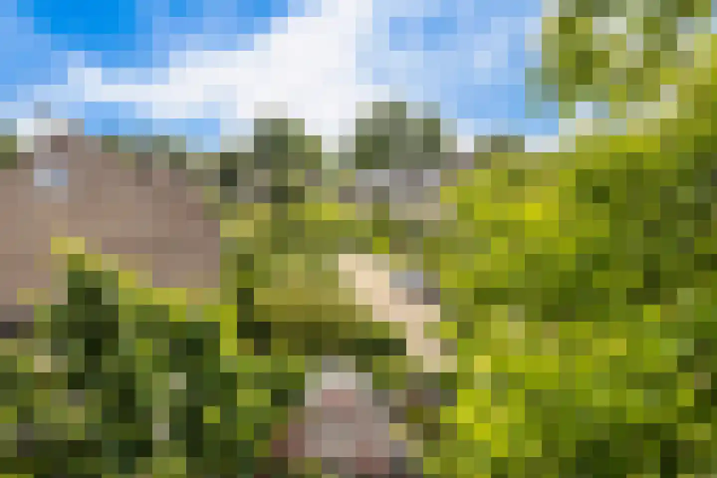 Estafetteweg 18 Gouda thumbnail 27