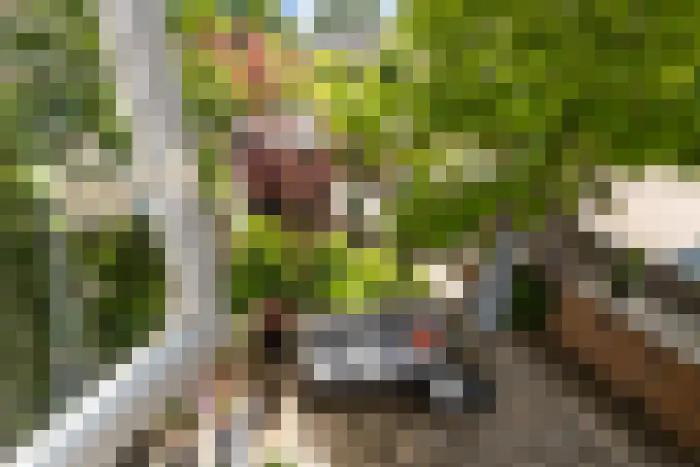 Estafetteweg 18 Gouda thumbnail 36