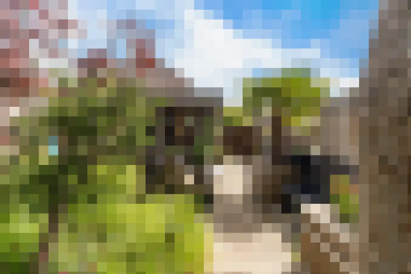 Estafetteweg 18 Gouda thumbnail 41