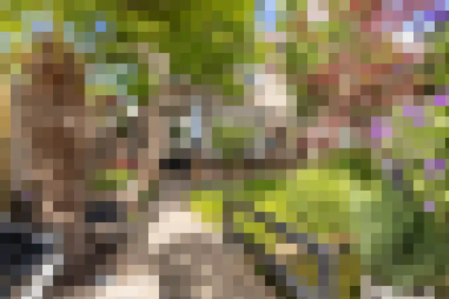 Estafetteweg 18 Gouda thumbnail 45