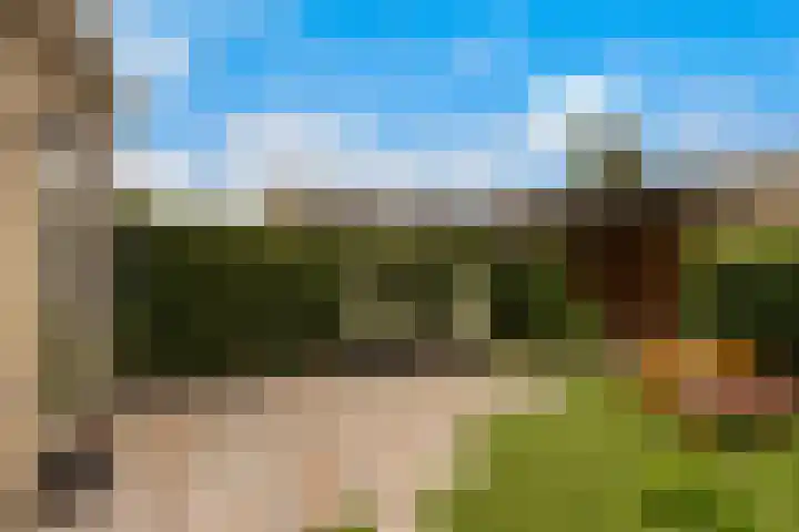 Estafetteweg 24 Gouda thumbnail 14