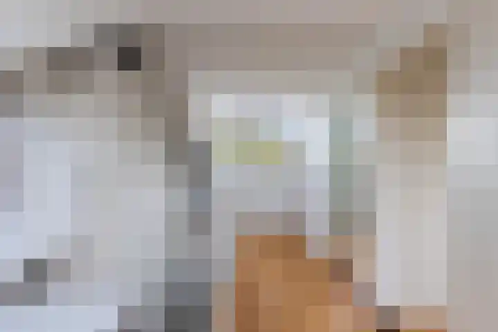 Estafetteweg 24 Gouda thumbnail 31