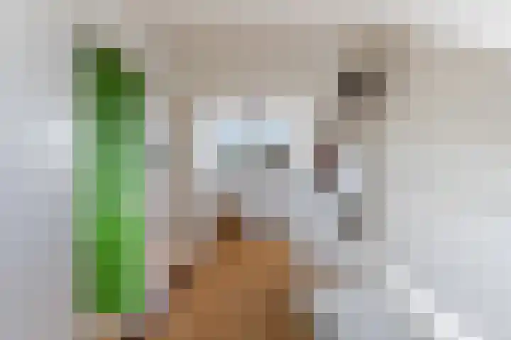 Estafetteweg 24 Gouda thumbnail 32