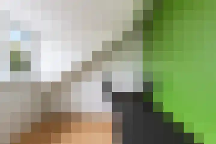 Estafetteweg 24 Gouda thumbnail 33