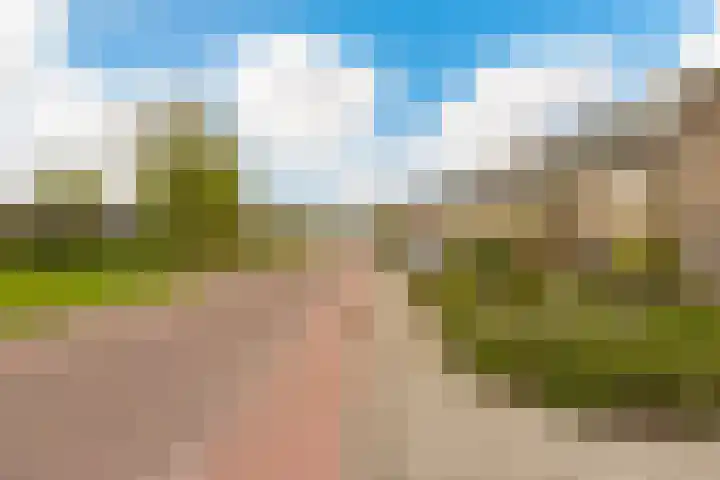 Estafetteweg 24 Gouda thumbnail 39