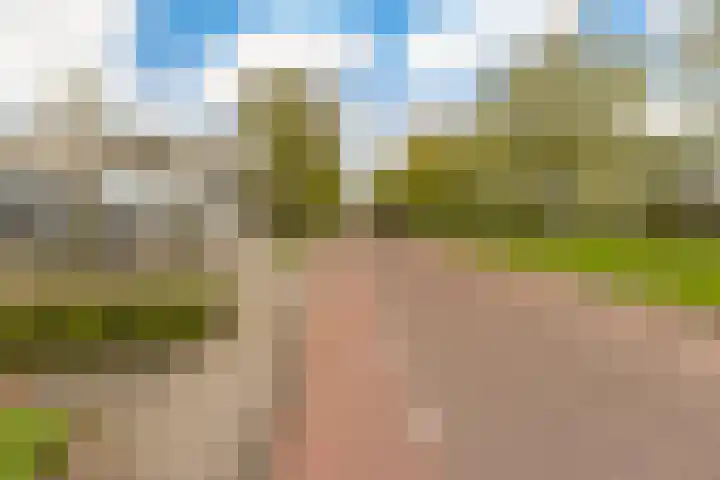 Estafetteweg 24 Gouda thumbnail 40
