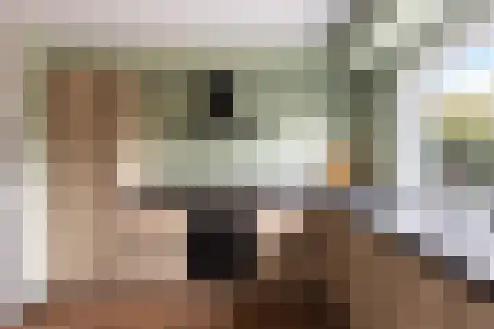 Estafetteweg 24 Gouda thumbnail 5