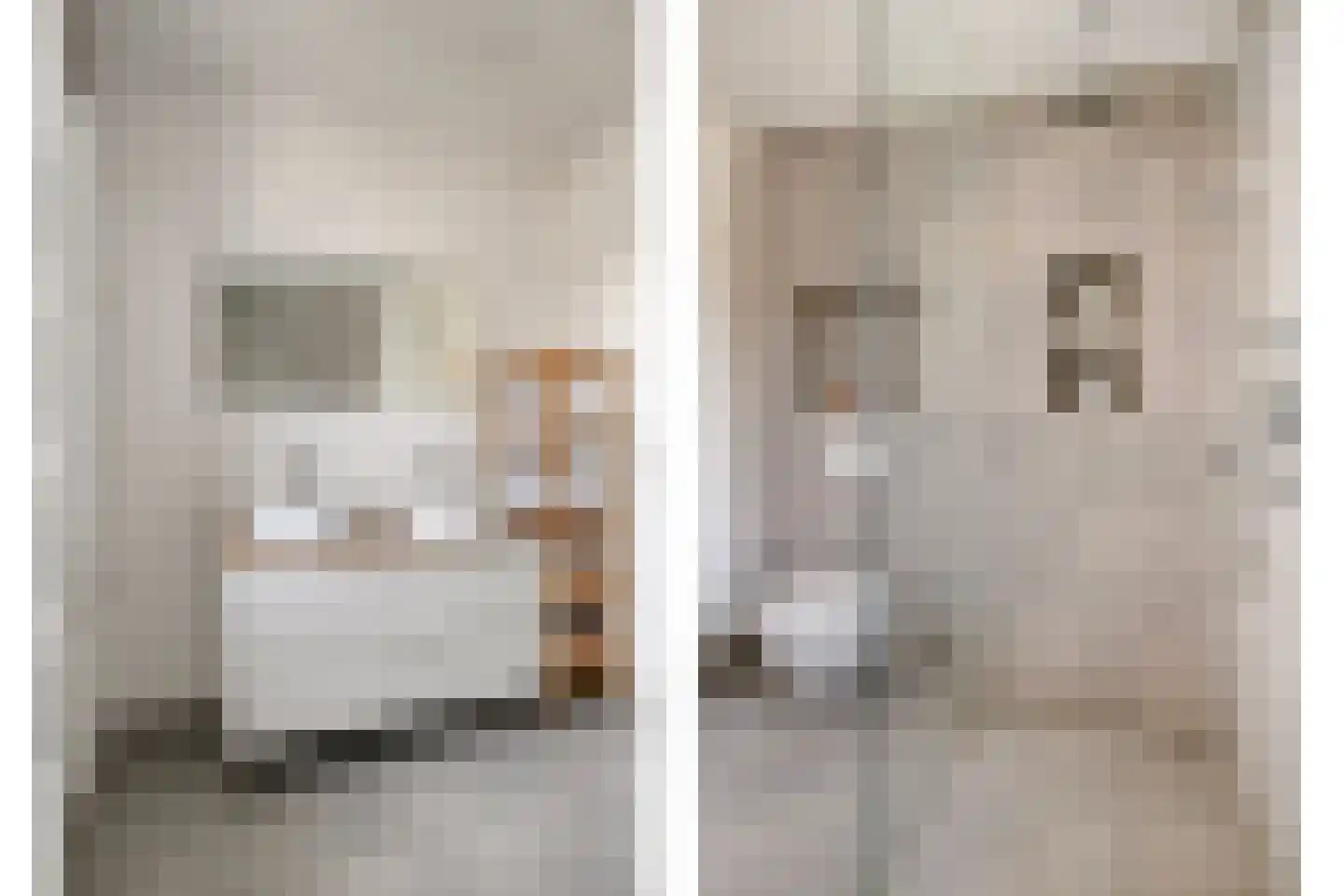 Esterelstraat 10 Tilburg thumbnail 25