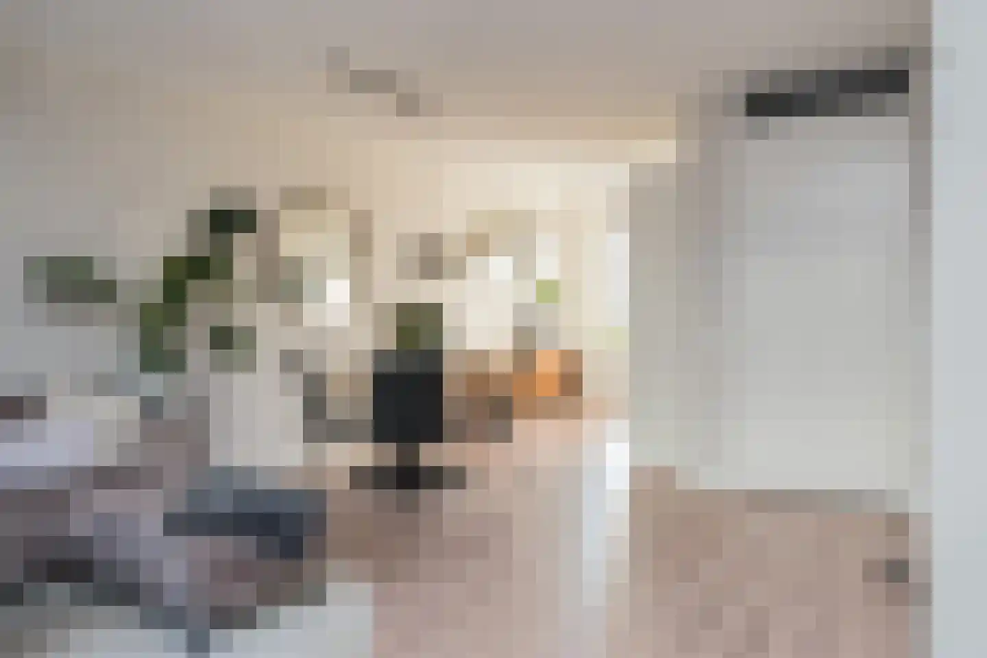 Esterelstraat 17 Tilburg thumbnail 10